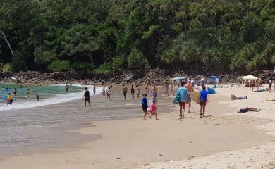 noosa property management